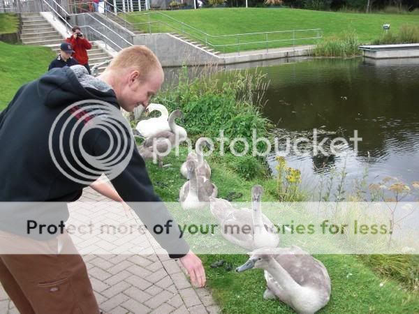 messingwithgoose.jpg