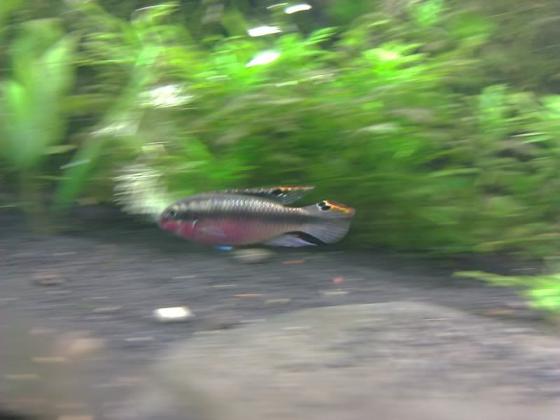 IMG_20120906_000445.jpg