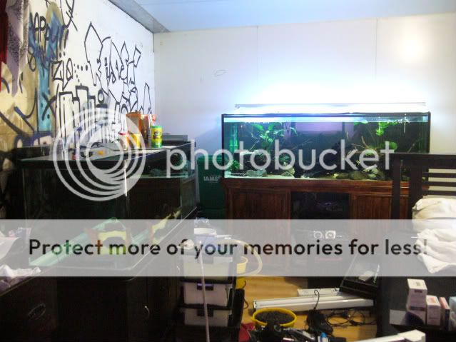 P1170147.jpg