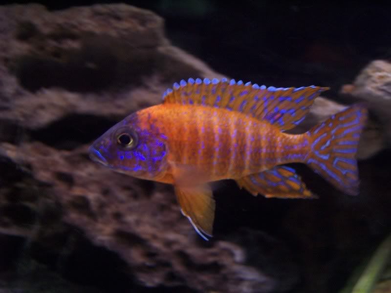 100_7009.jpg