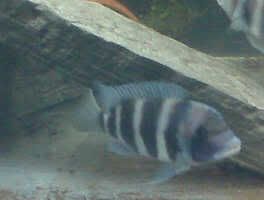 IMG00523.jpg