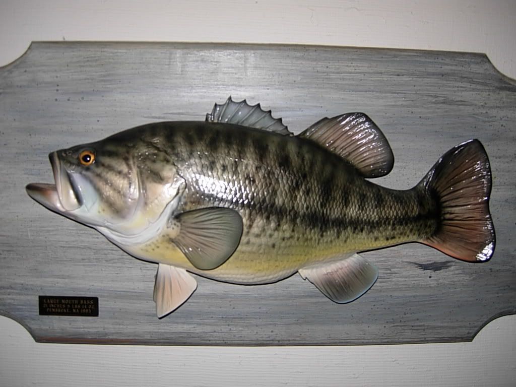 ValantinesFishDay08041.jpg