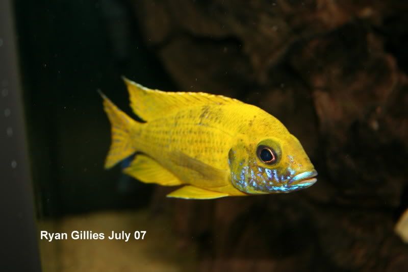 July07newfish-013_1.jpg