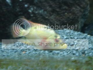 Picture008.jpg
