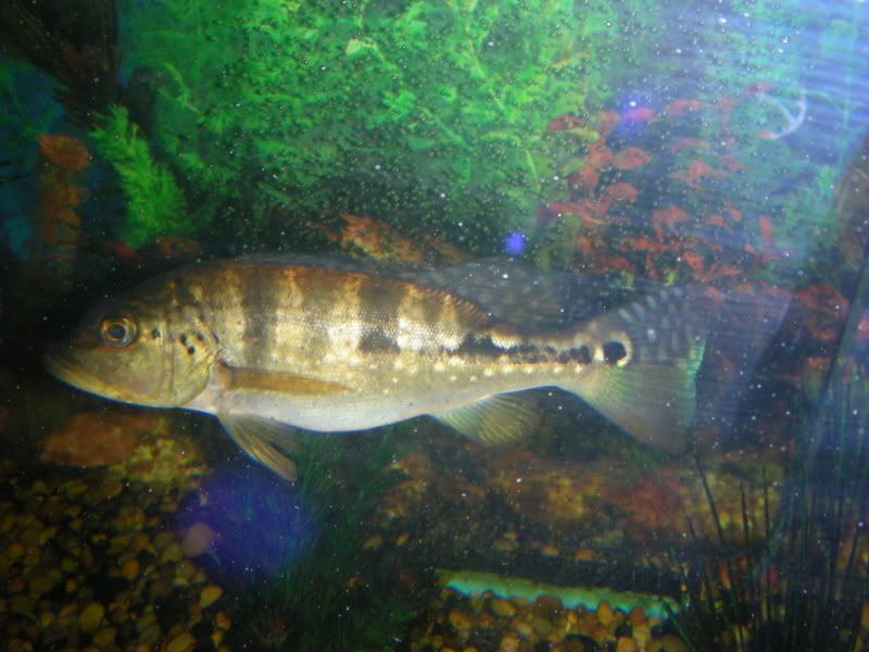 DSCN1475.jpg