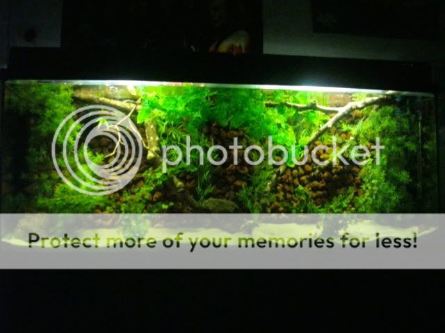 Download 5300 Koleksi Background Aquarium Custom HD Terbaru