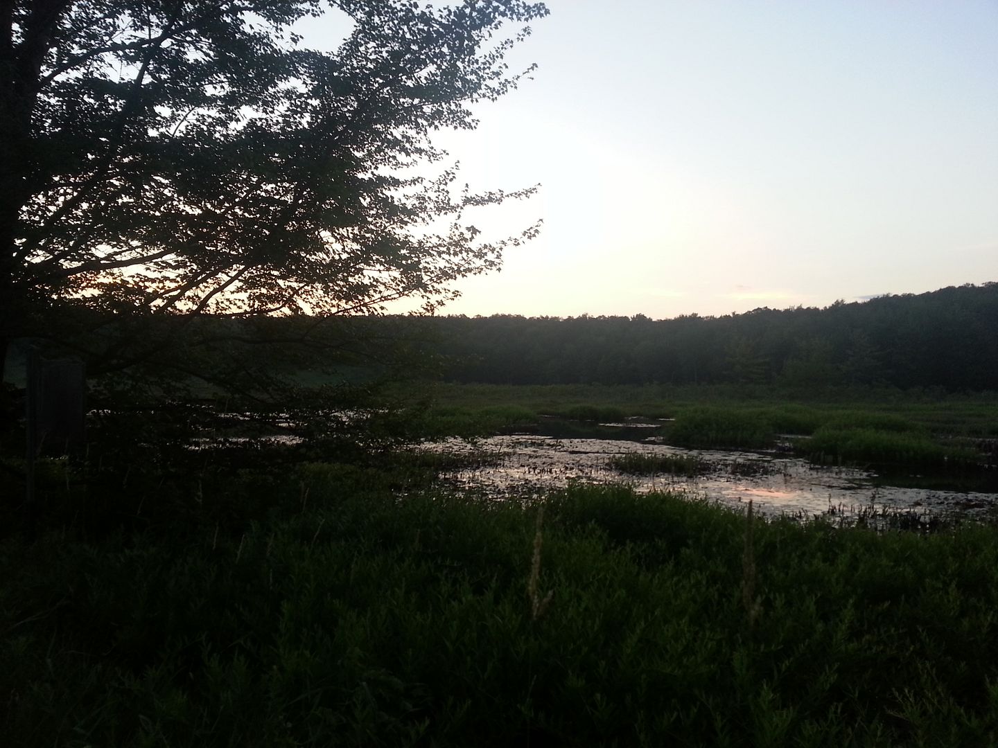 20130706_204531_zpsd094e6da.jpg