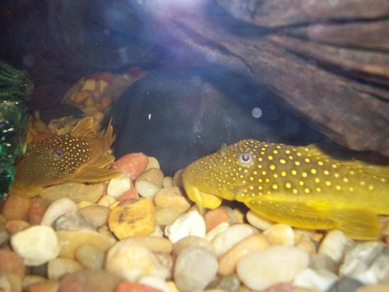 100_2734.jpg