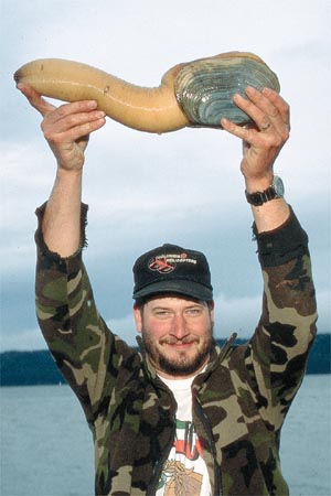 geoduck_clam_1.jpg