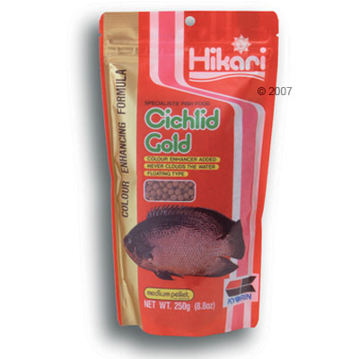 Cichlid_Gold_1.jpg
