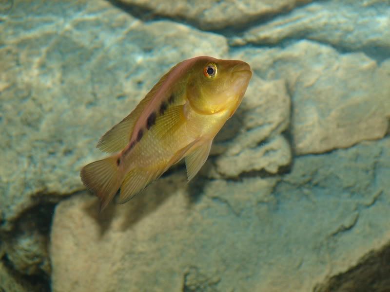 DSC08162.jpg
