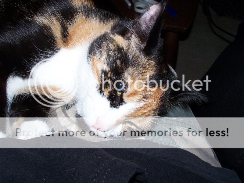 100_3001Medium.jpg