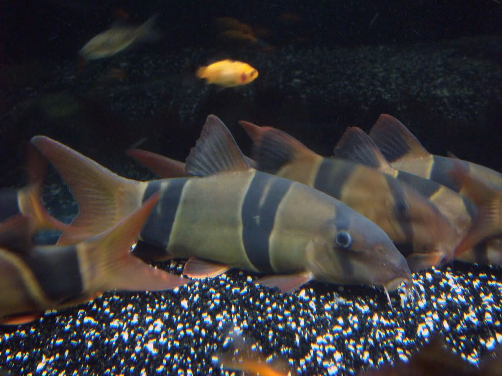 DSC01759.jpg
