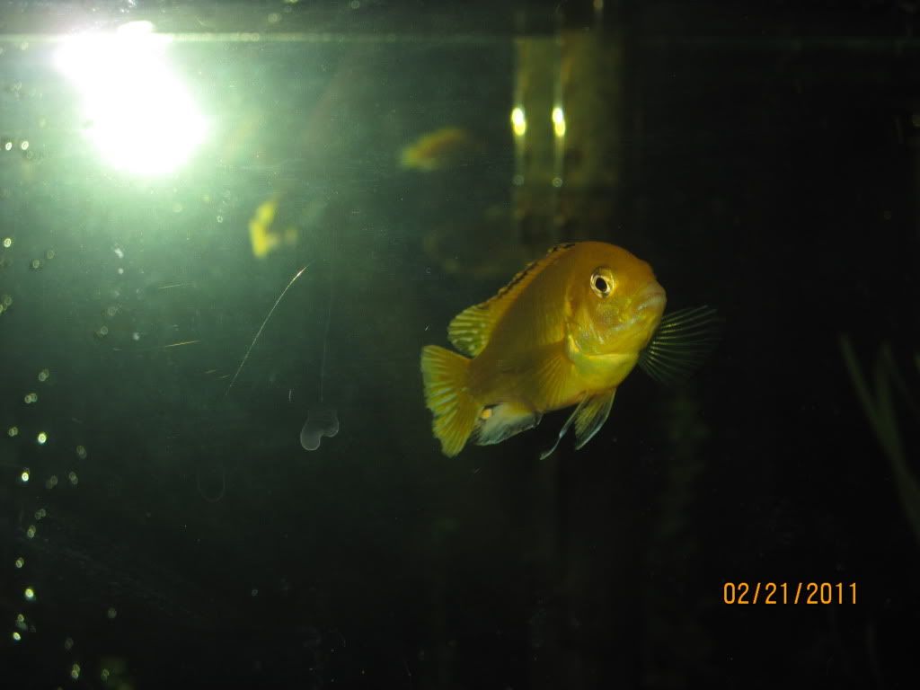 IMG_1289.jpg