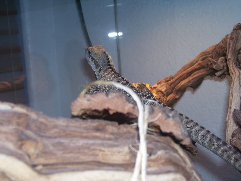 100_1160.jpg