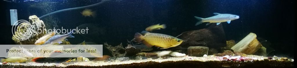IMG_20170608_225928.jpg