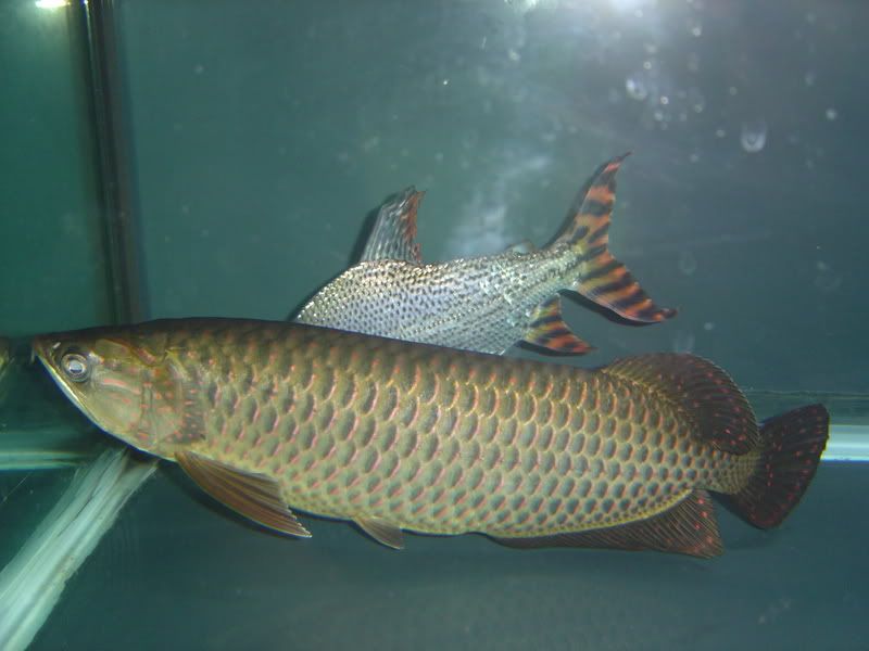 9-22-08029.jpg