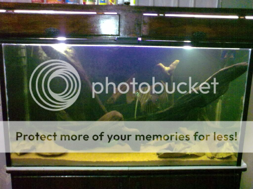 11062009248.jpg