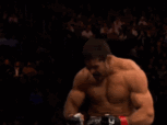 palhares.gif