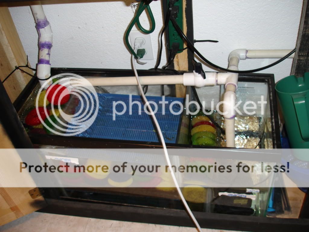 DSC03780.jpg