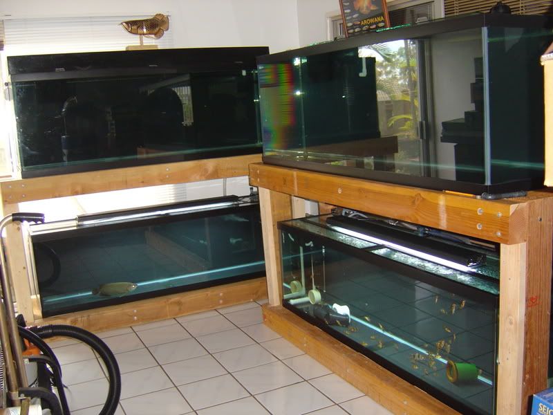4-30-08002.jpg