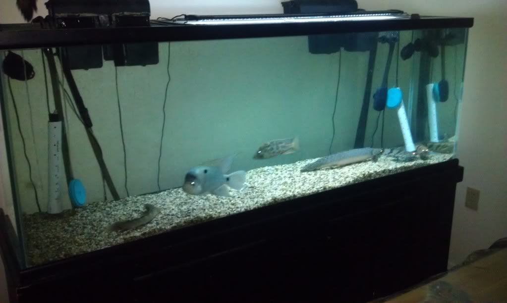 IMAG0560.jpg