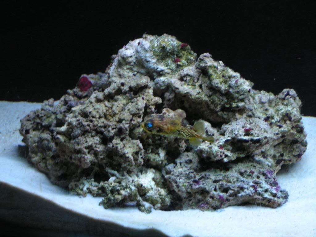 PICT0818.jpg