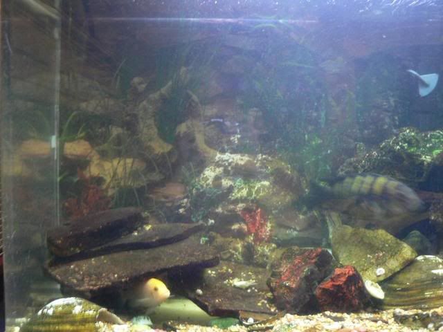 P1020183.jpg