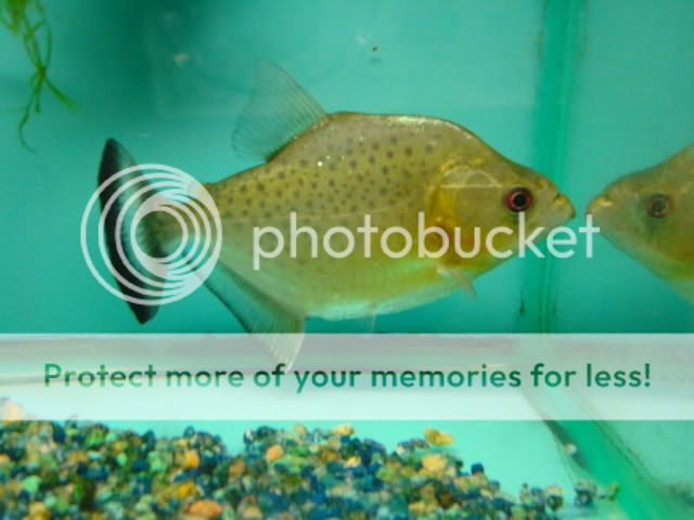 DSC05737.jpg