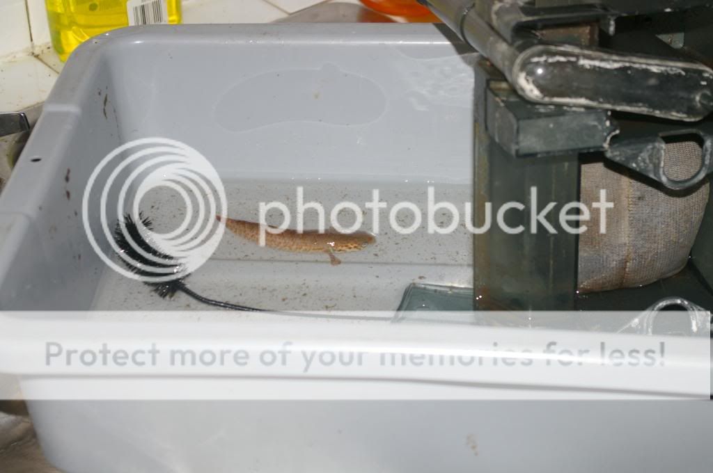 IMGP3760.jpg