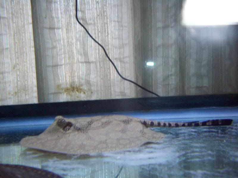 100_2909.jpg