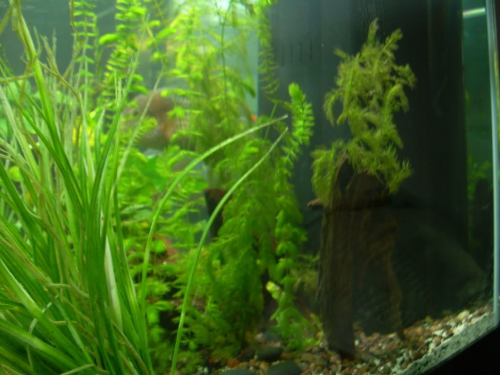 DSCN1312.jpg