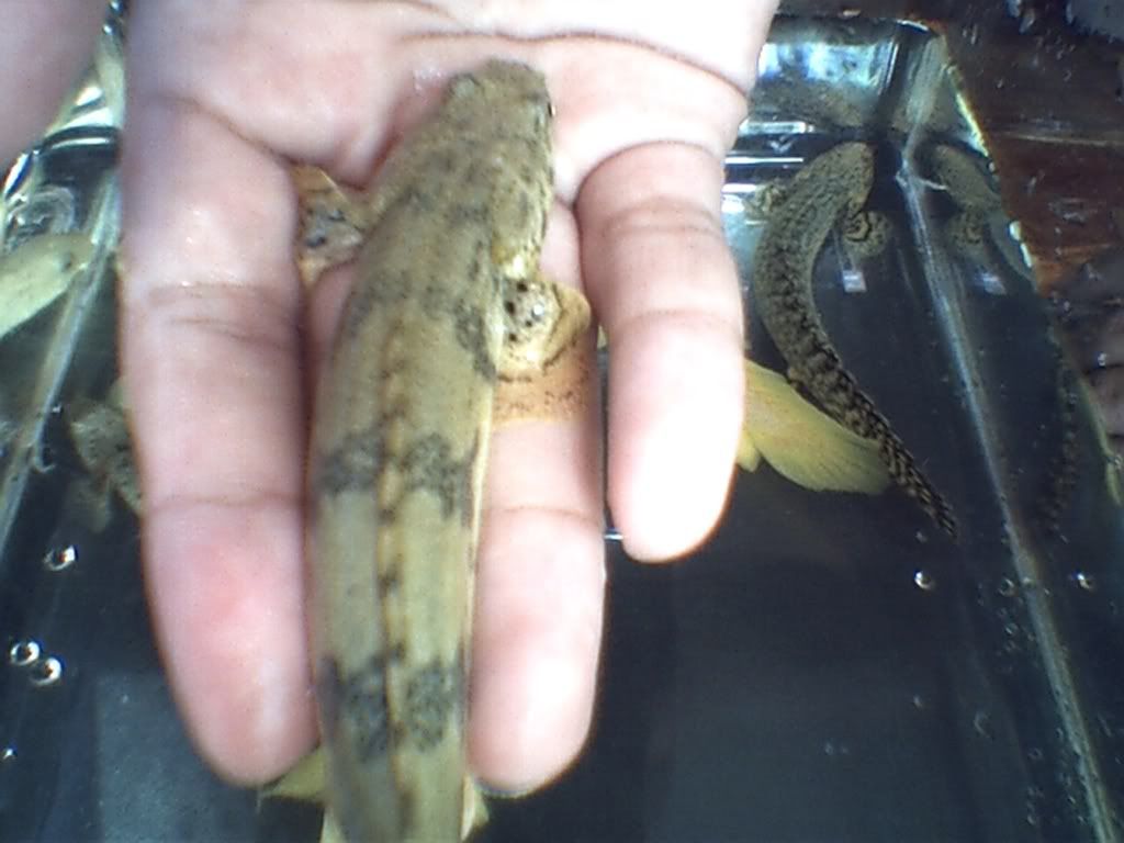 092440.jpg