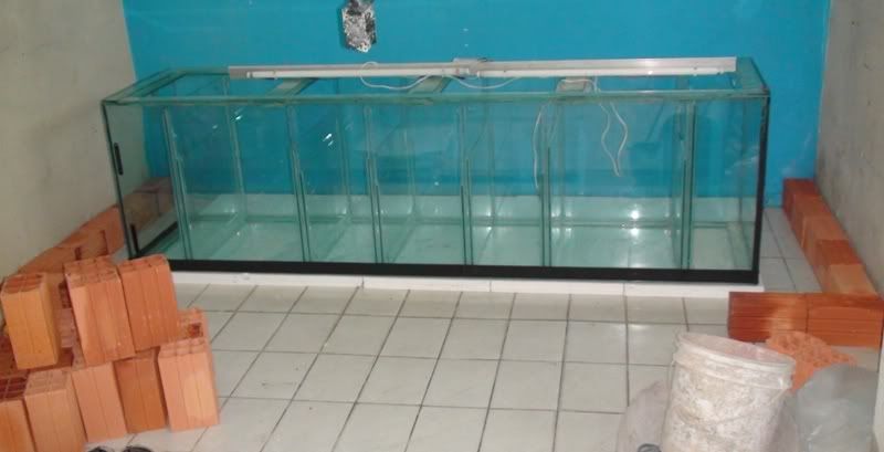 M9_aquario_09.jpg