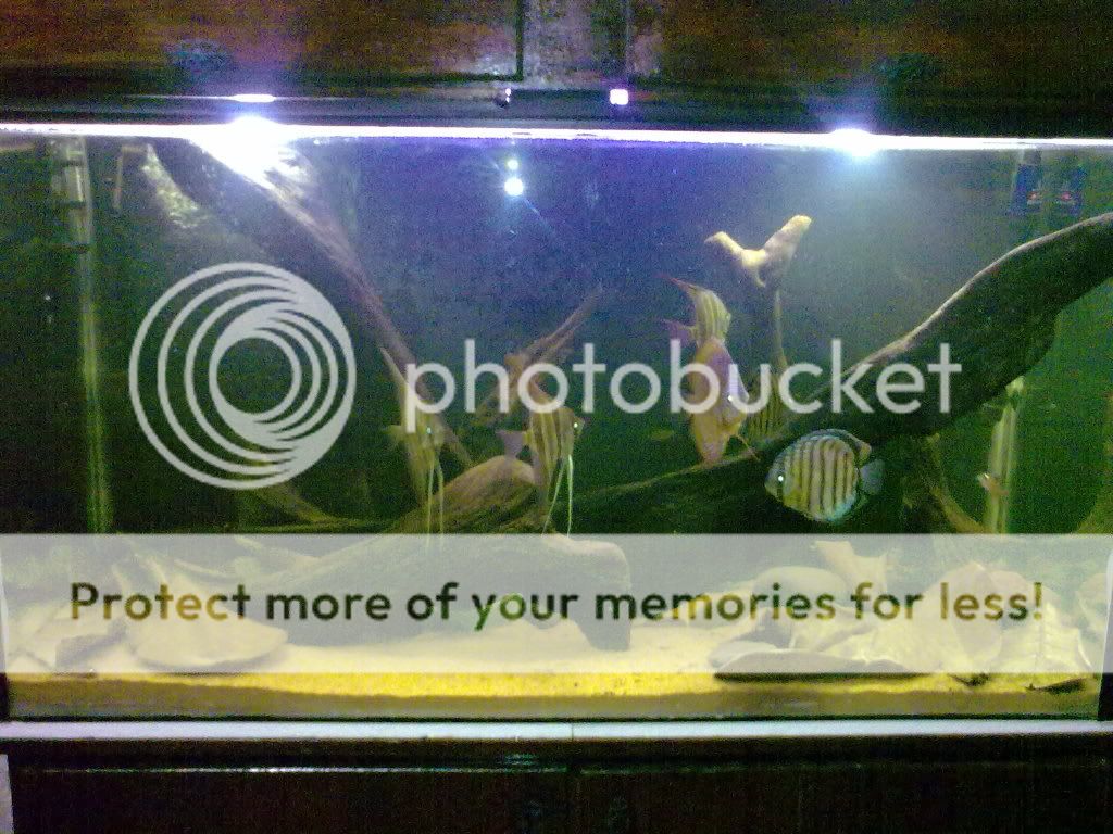 11062009223.jpg