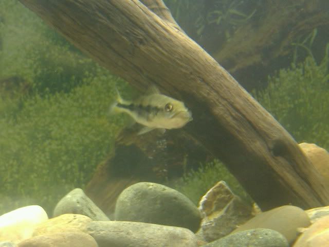 DSCF9328.jpg