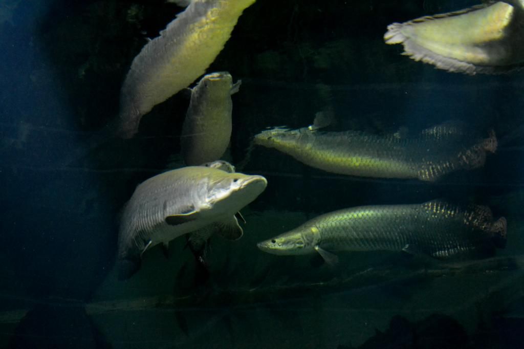 DSC_8285_zps40ff426b.jpg