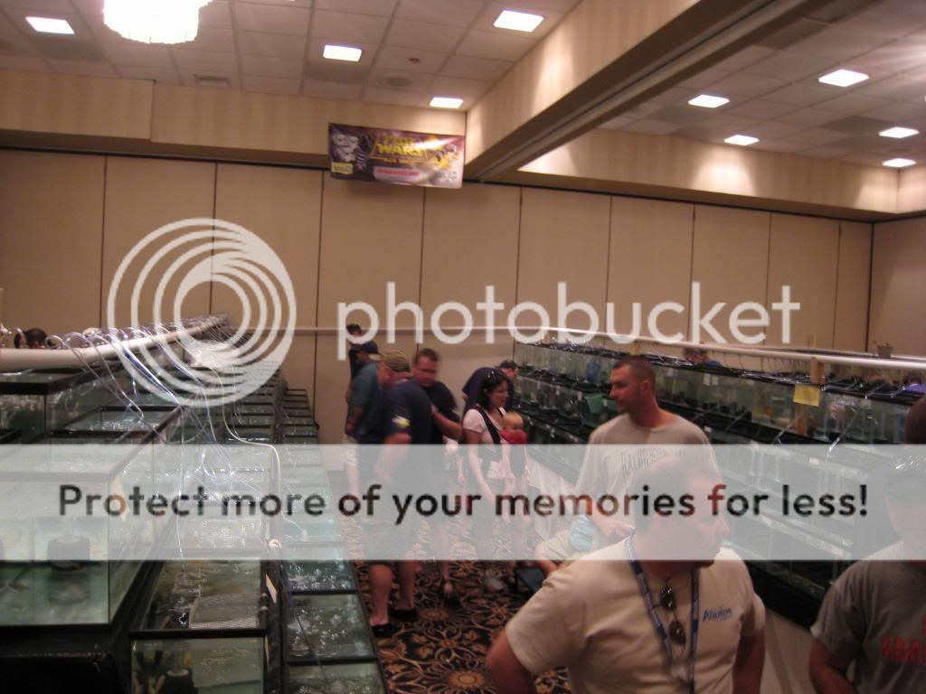 IMG_9487.jpg