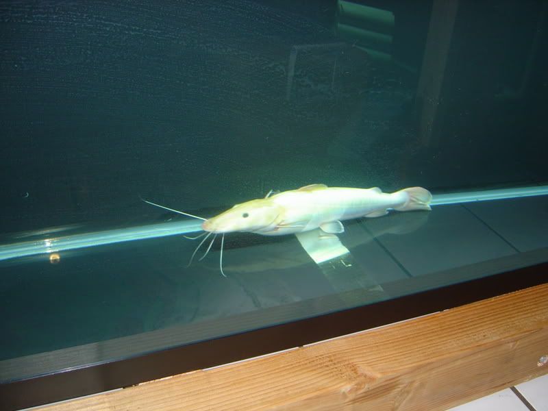 5-6-08002.jpg
