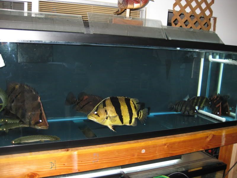 4-21-09007.jpg