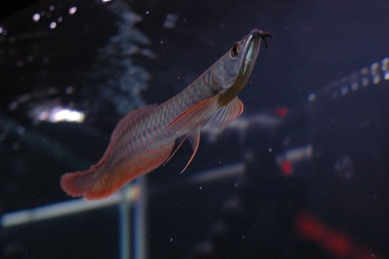 DSC_0843.jpg
