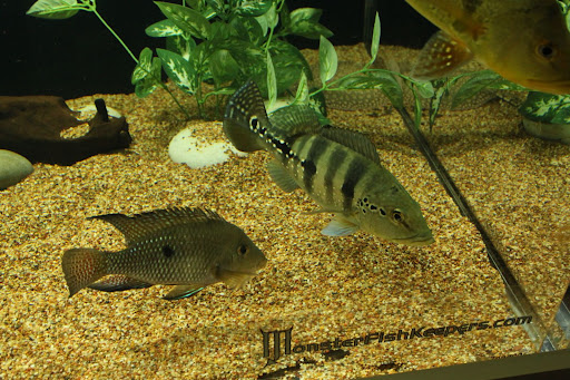 group%20%286%29.JPG