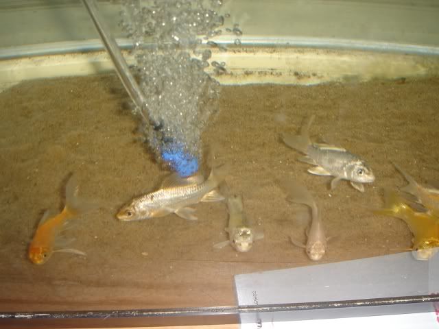 DSC09045.jpg