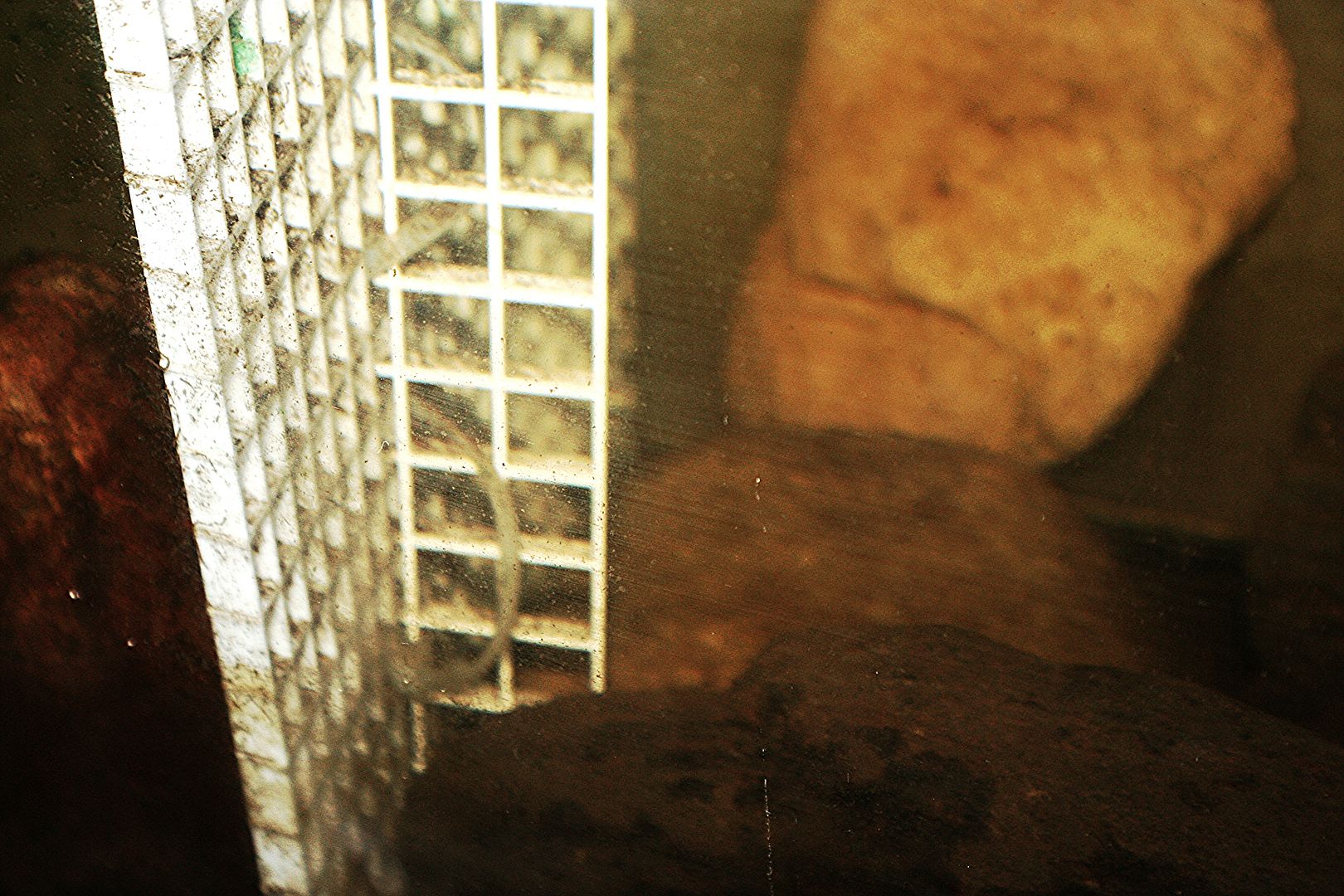 diy tank dividers | MonsterFishKeepers.com