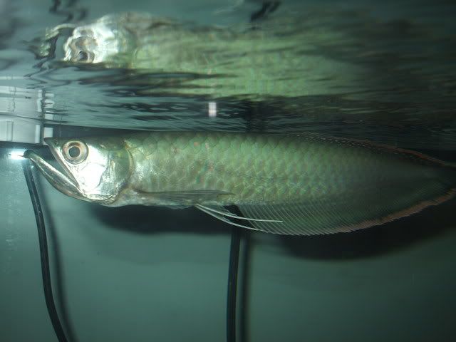 DSCF1893.jpg