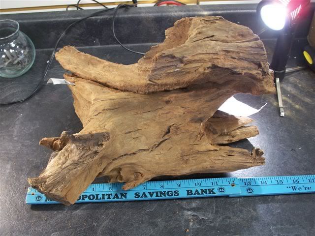 driftwood3.jpg