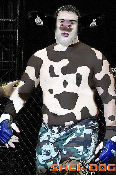 riccothecow.jpg