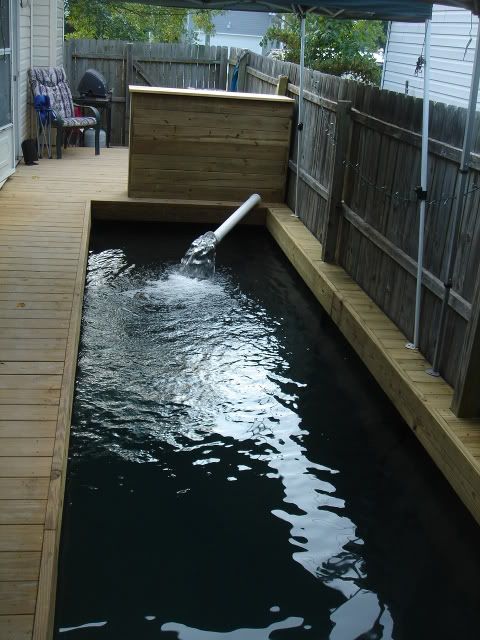 DSC05148.jpg