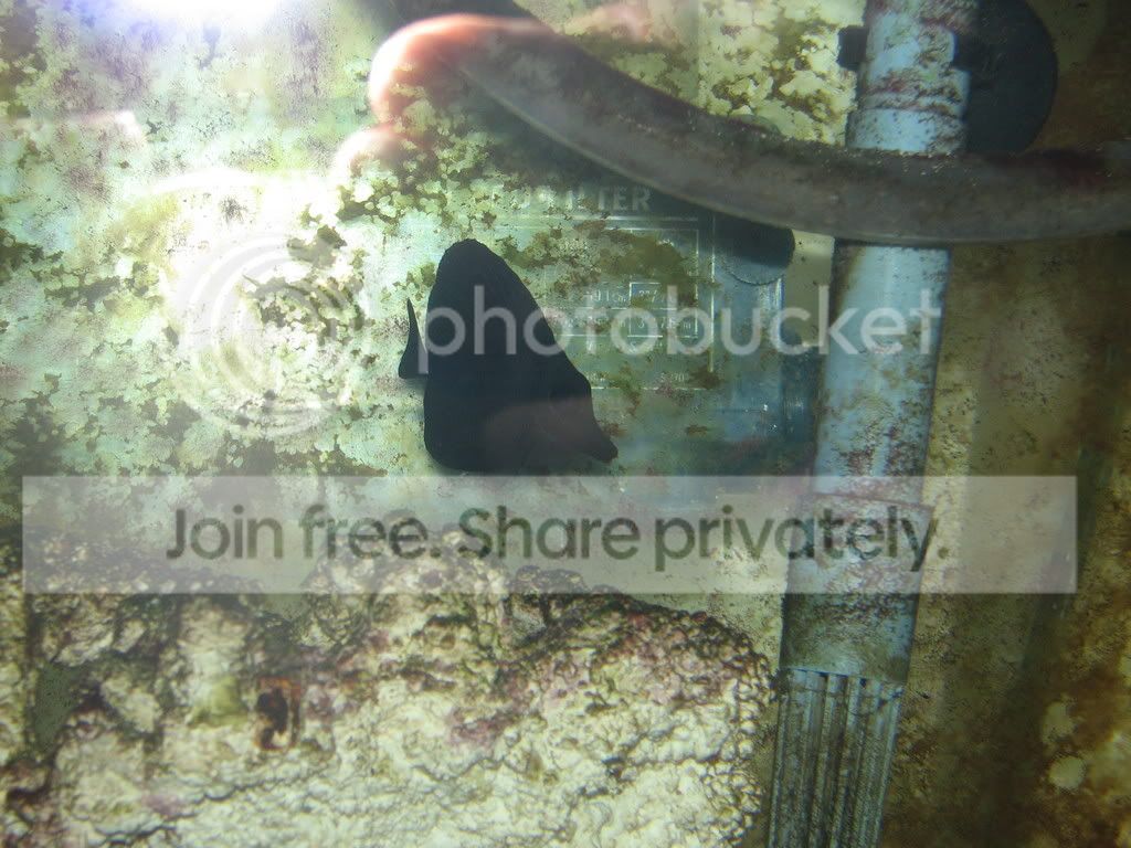 IMG_1152.jpg