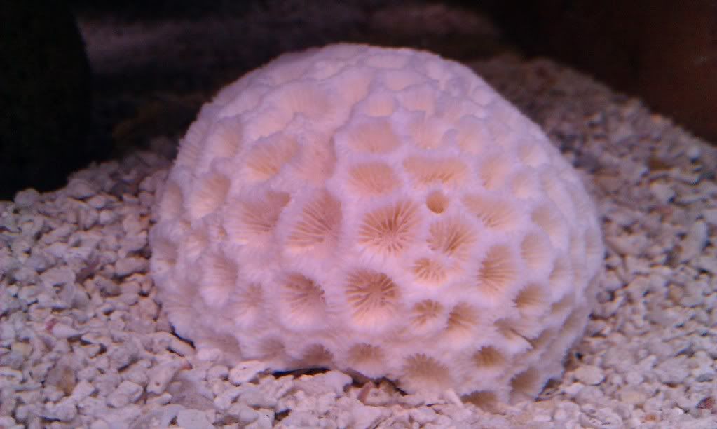 IMAG0281.jpg